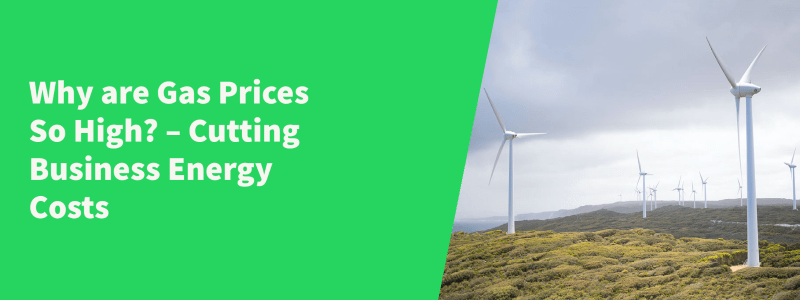 blog title image with wind turbines in the background